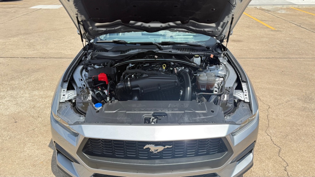 Photo 21 of this FORD MUSTANG