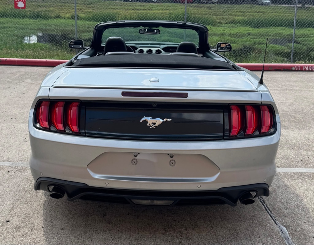 Photo 6 of this FORD MUSTANG