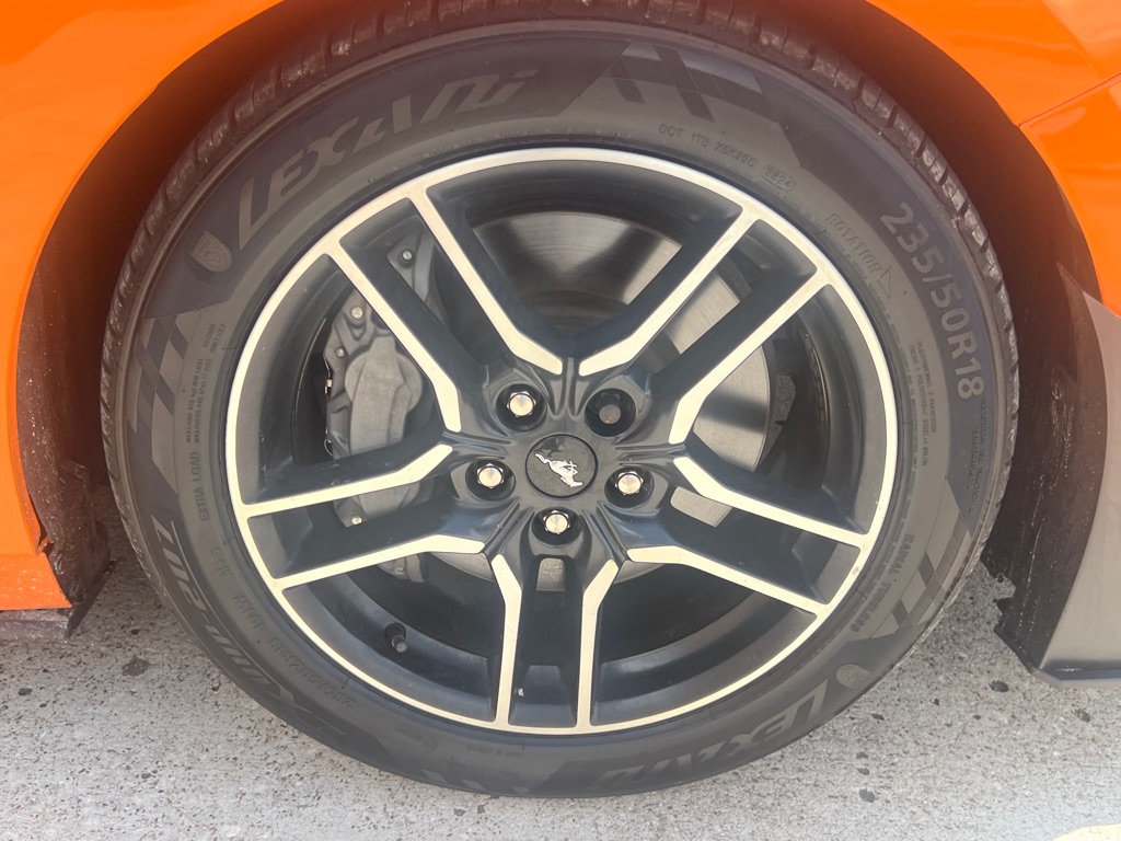 Photo 11 of this FORD MUSTANG
