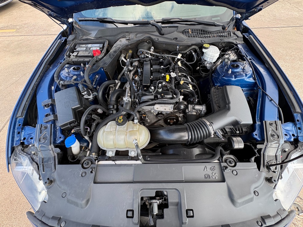 Photo 13 of this FORD MUSTANG