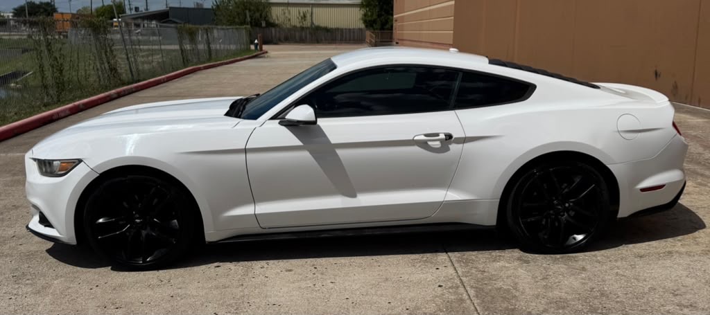 Photo 8 of this FORD MUSTANG