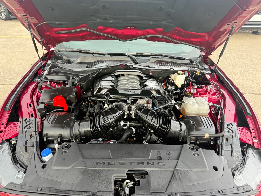 Photo 11 of this FORD MUSTANG