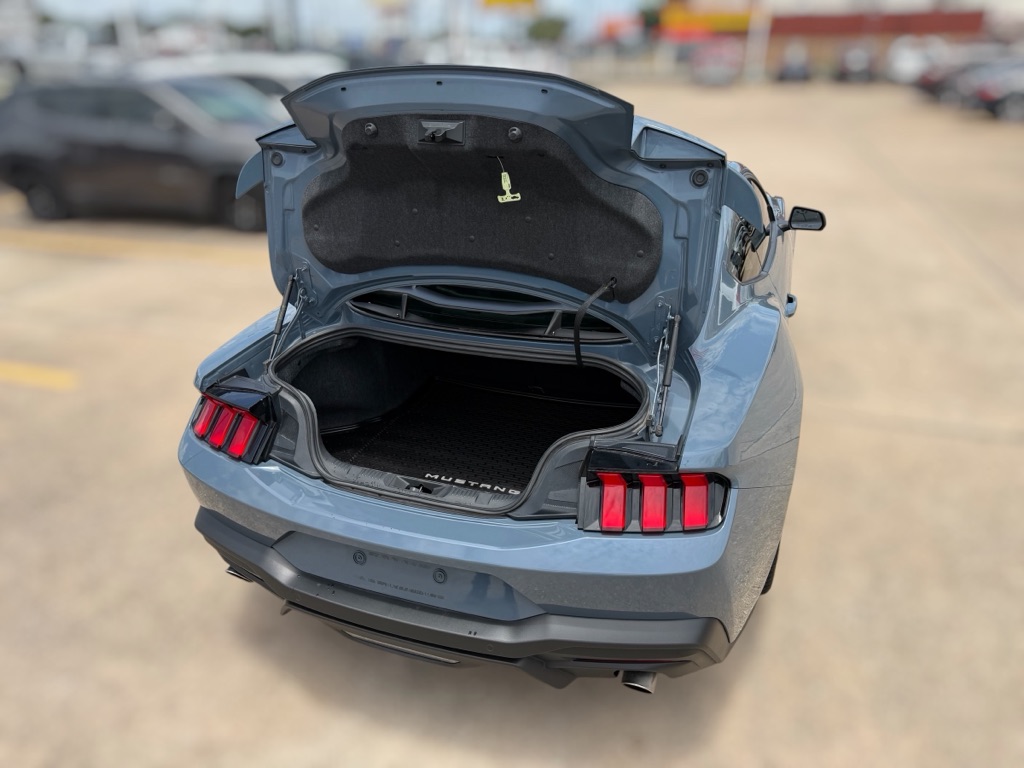 Photo 13 of this FORD MUSTANG