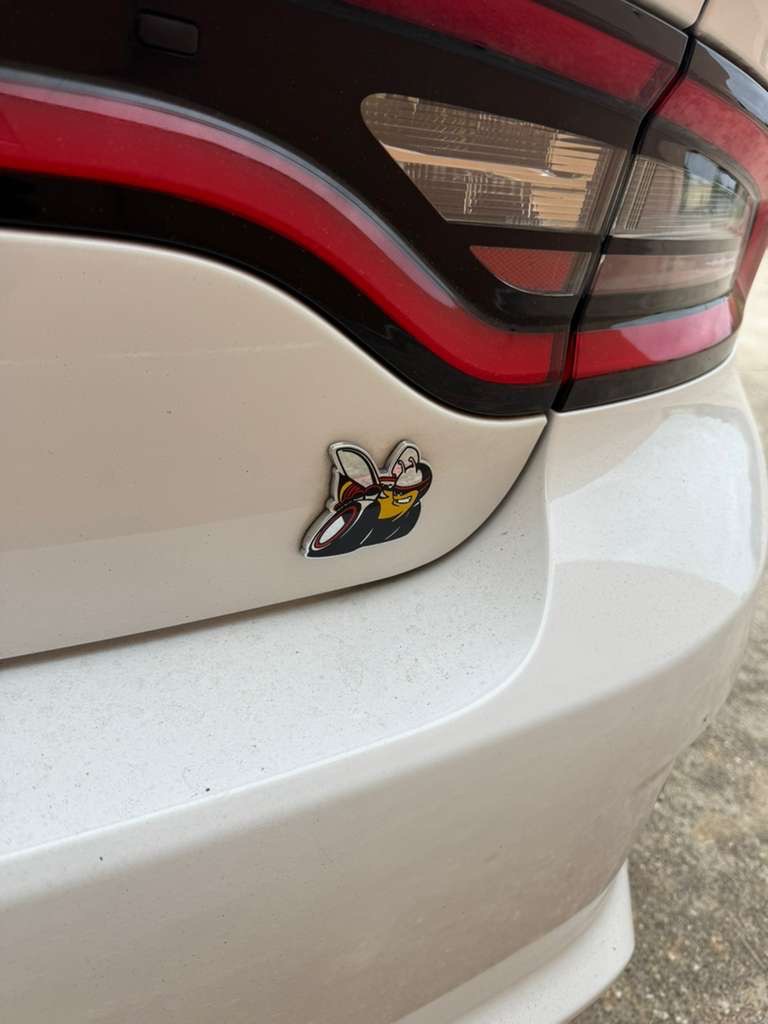 Photo 10 of this DODGE CHARGER