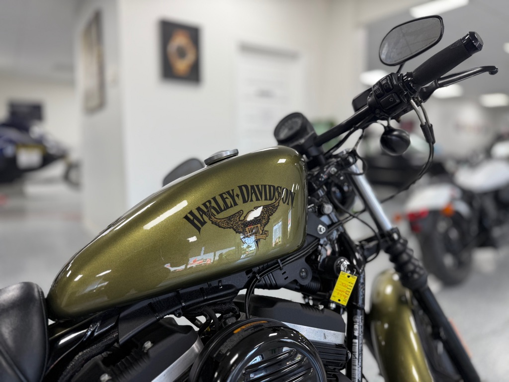 Photo 16 of this HARLEY-DAVIDSON IRON 8