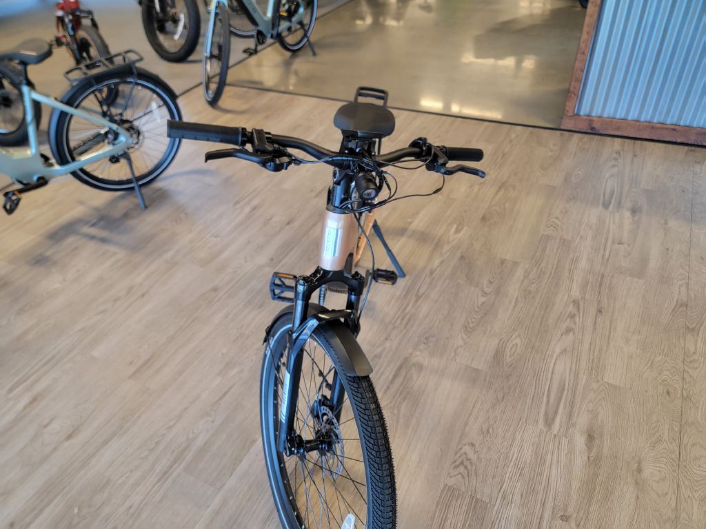 Photo 2 of this AVENTON LEVEL 3 REGULAR