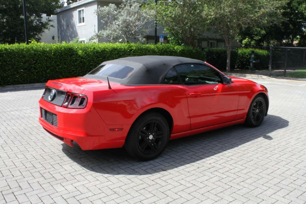 Photo 6 of this FORD MUSTANG