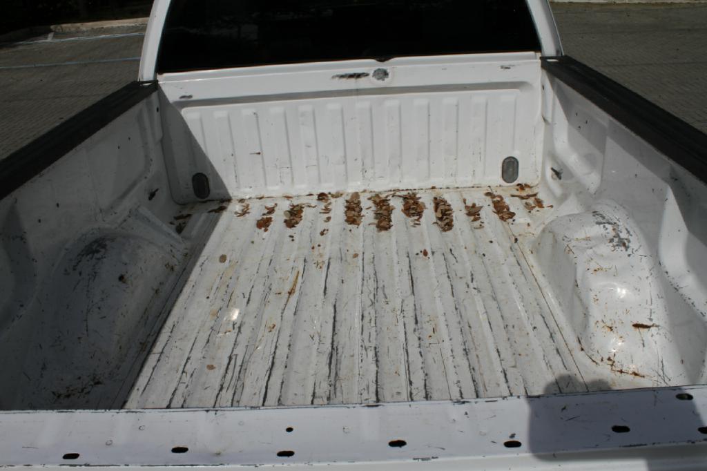 Photo 12 of this FORD F-150