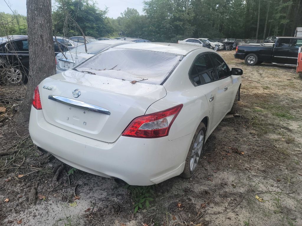 Photo 2 of this NISSAN MAXIMA