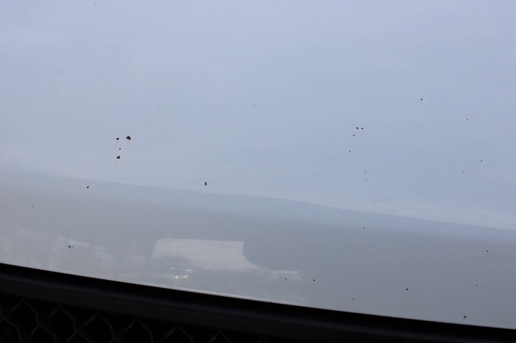 trucks for sale arkansas