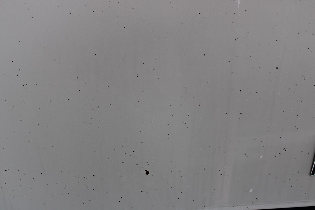 trucks for sale arkansas