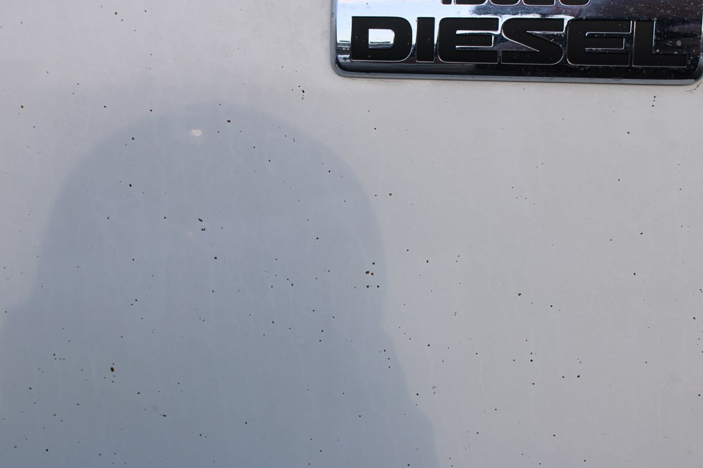 trucks for sale arkansas