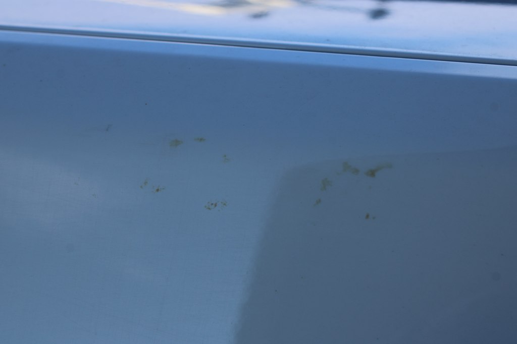 used work trucks for sale