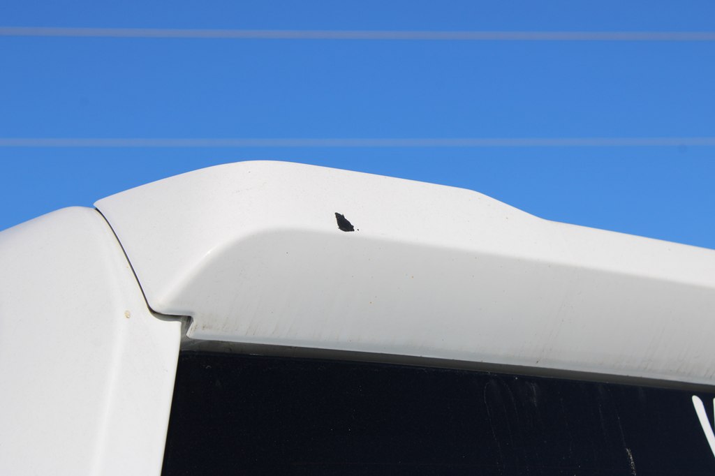 trucks for sale arkansas