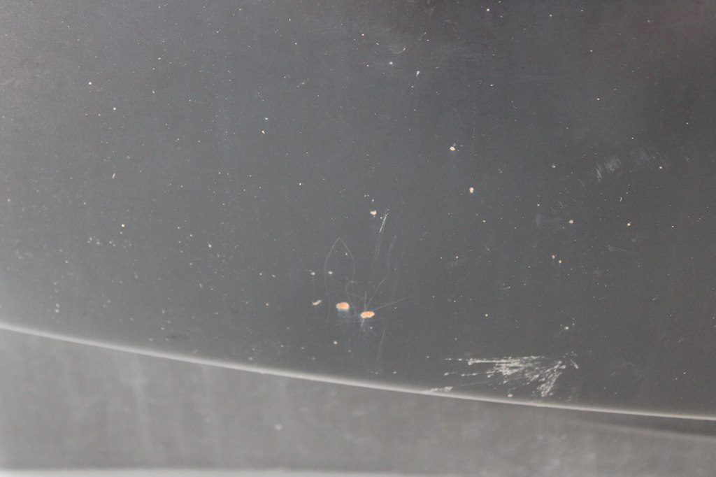 trucks for sale arkansas