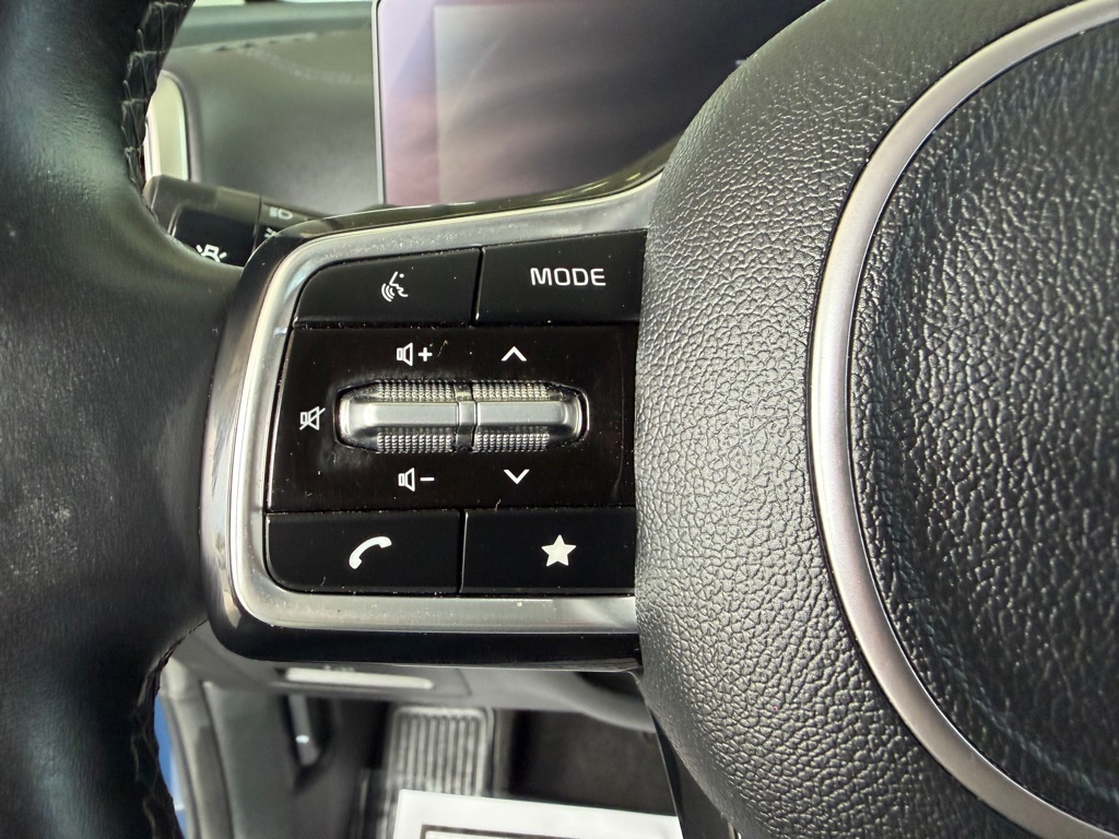 Photo 10 of this KIA SORENTO