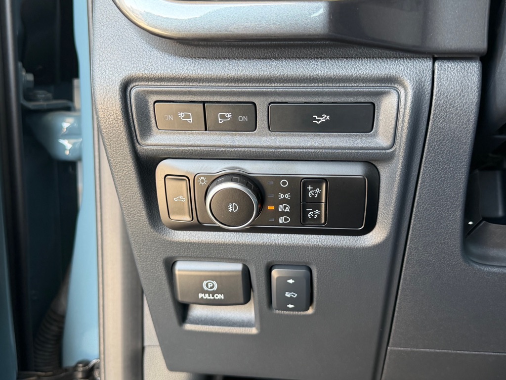 Photo 16 of this FORD F150
