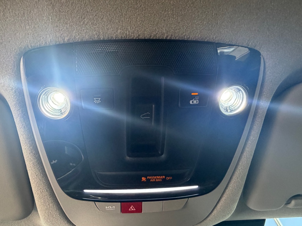Photo 19 of this KIA NIRO