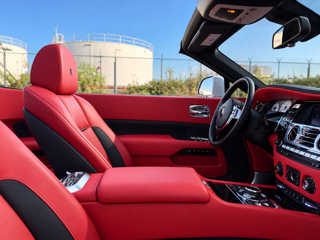 Photo 19 of this ROLLS-ROYCE DAWN
