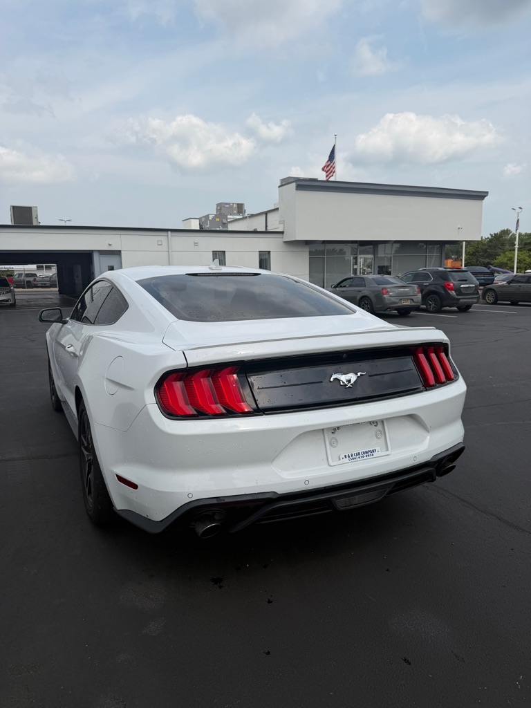 Photo 3 of this FORD MUSTANG