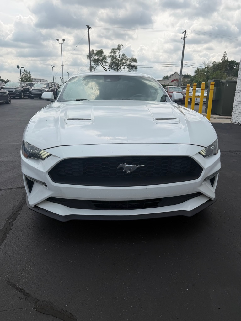 Photo 8 of this FORD MUSTANG
