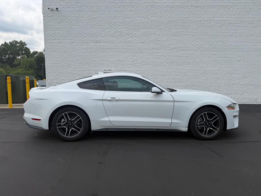 Photo 6 of this FORD MUSTANG