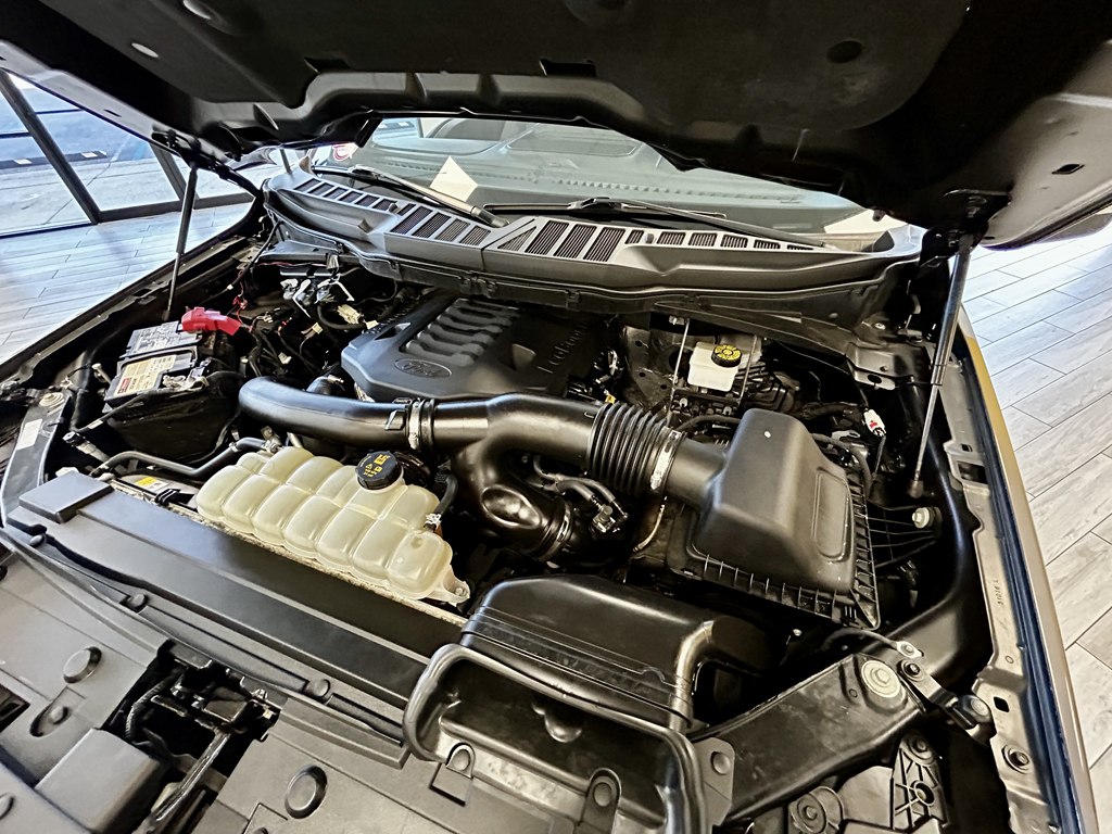 Photo 18 of this FORD F150