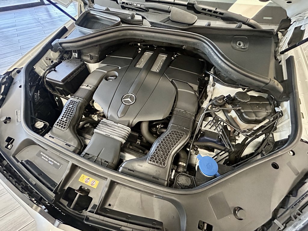 Photo 20 of this MERCEDES-BENZ GLS