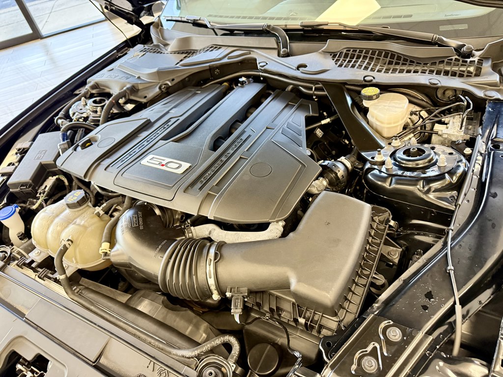 Photo 18 of this FORD MUSTANG