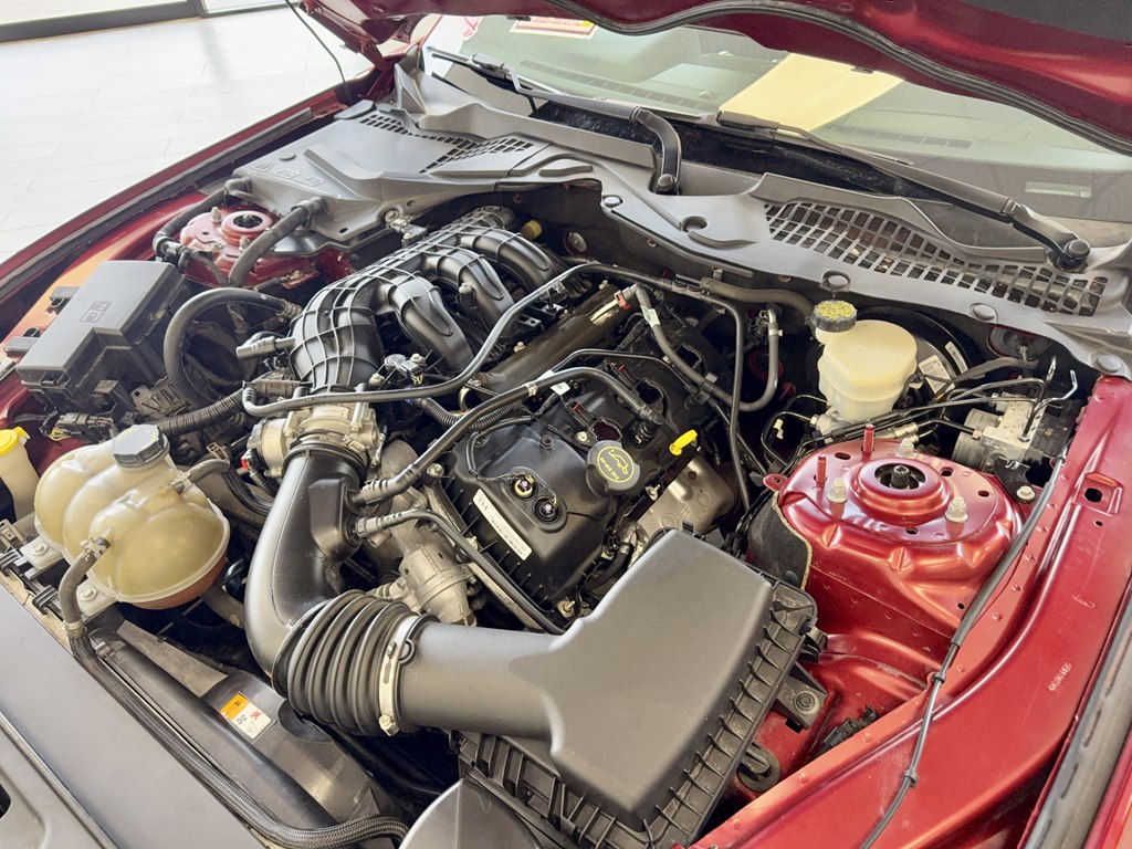 Photo 18 of this FORD MUSTANG