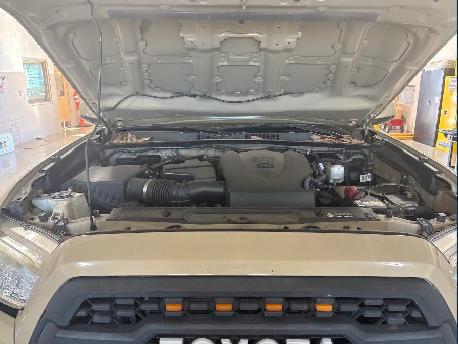 Photo 8 of this TOYOTA TACOMA