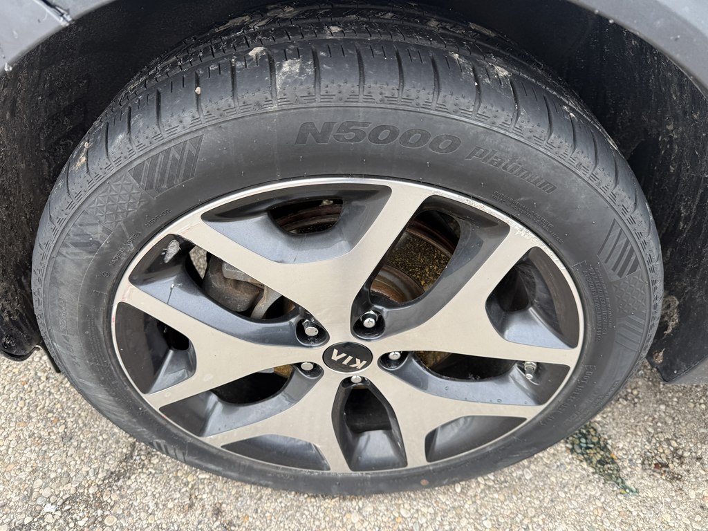 Photo 10 of this KIA SPORTAGE