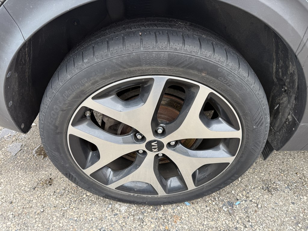 Photo 8 of this KIA SPORTAGE