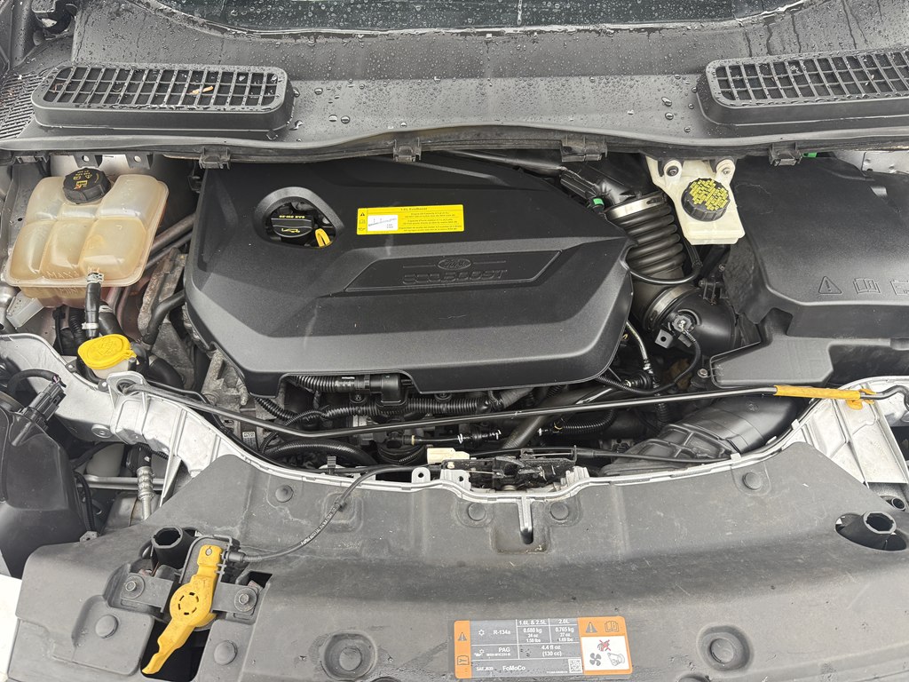 Photo 22 of this FORD ESCAPE