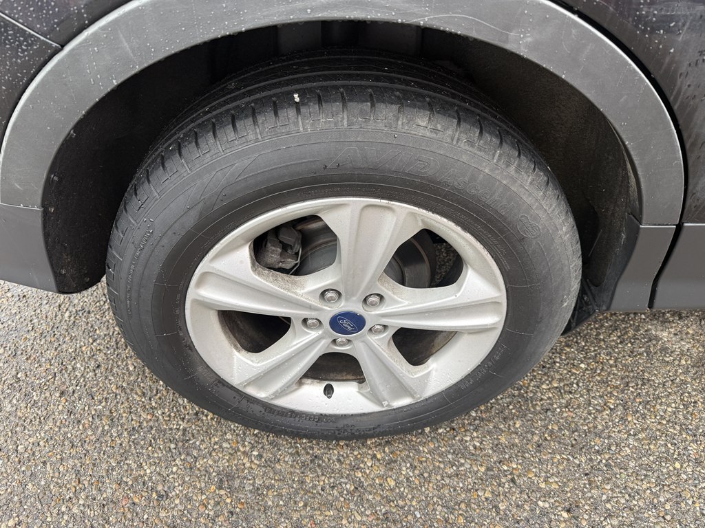 Photo 8 of this FORD ESCAPE