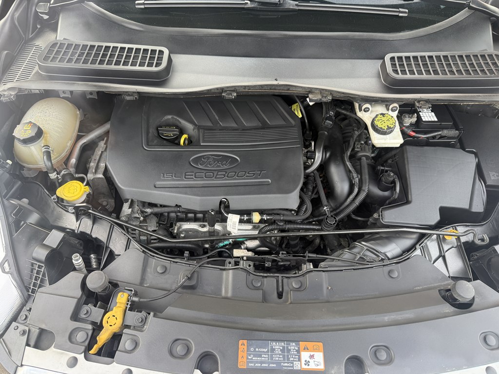 Photo 24 of this FORD ESCAPE