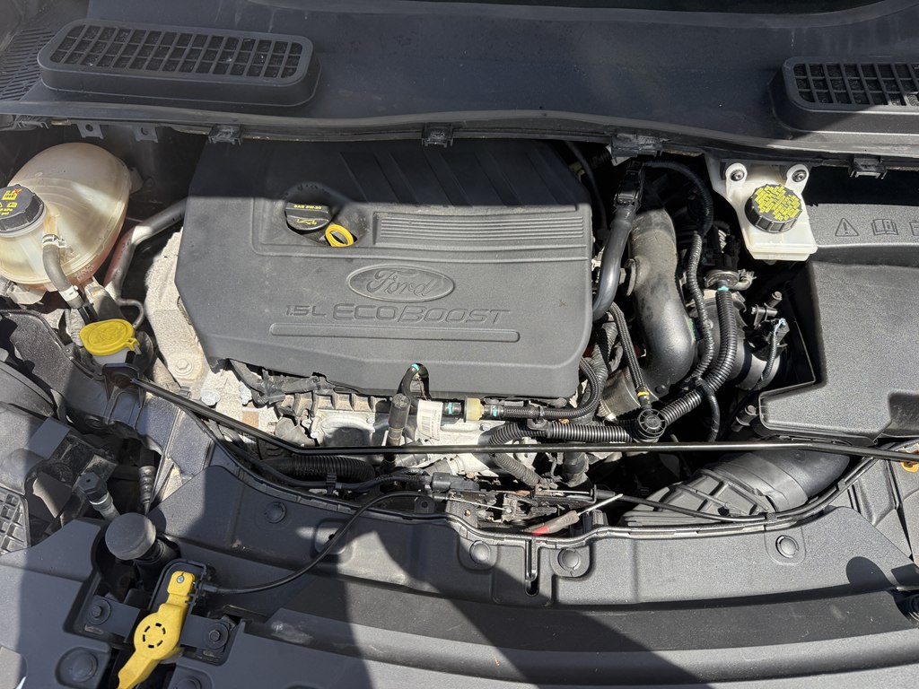 Photo 23 of this FORD ESCAPE