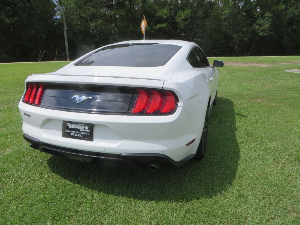 Photo 6 of this FORD MUSTANG
