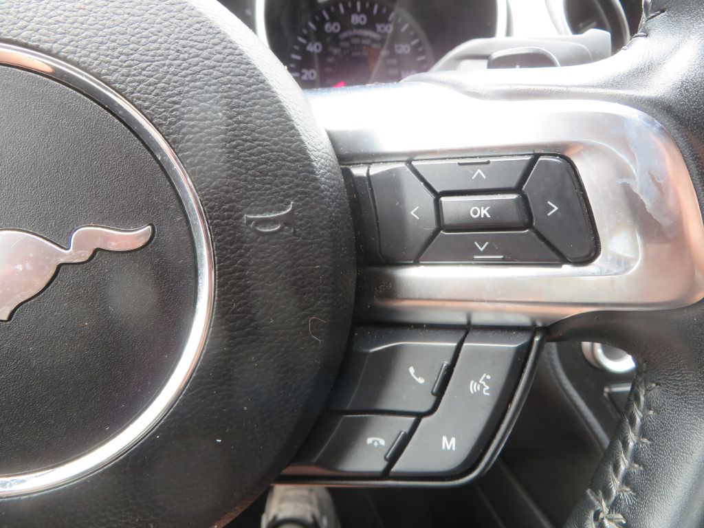 Photo 15 of this FORD MUSTANG