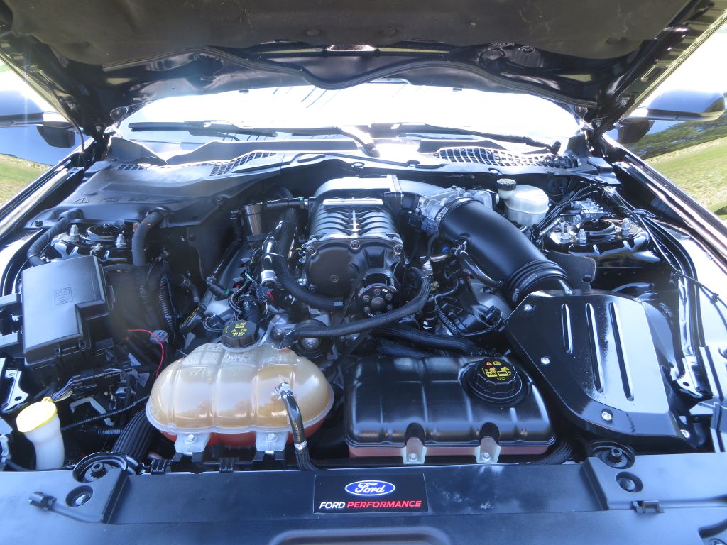 Photo 10 of this FORD MUSTANG