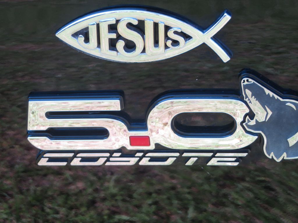 Photo 11 of this FORD MUSTANG