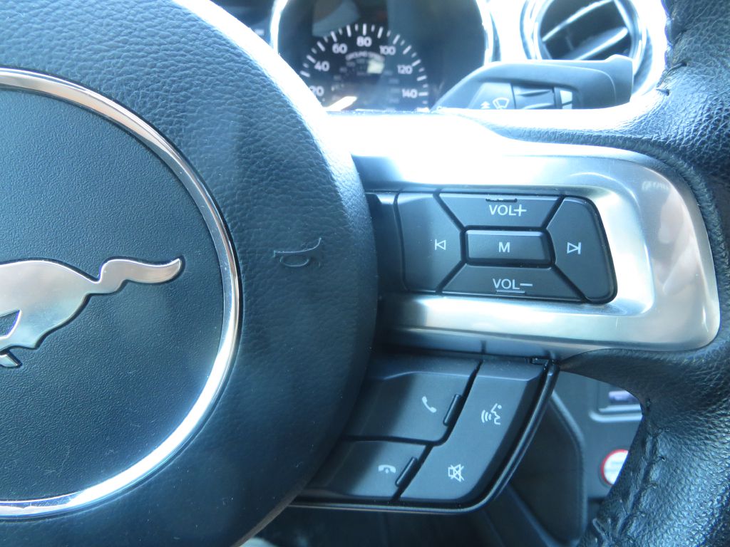 Photo 17 of this FORD MUSTANG