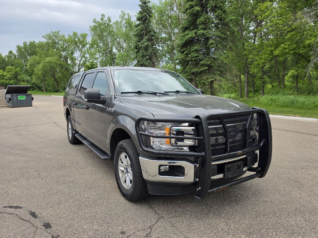 Photo 4 of this FORD F150