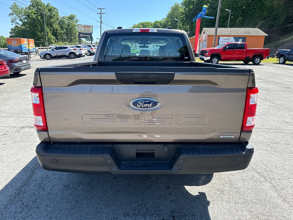 Photo 6 of this FORD F150