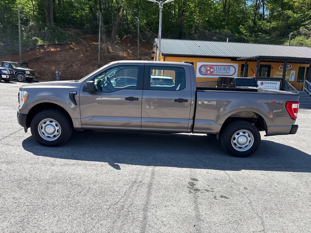 Photo 4 of this FORD F150