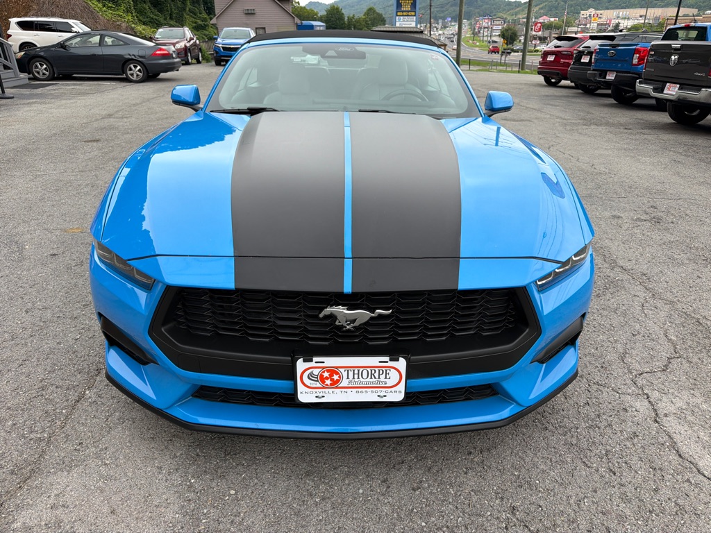 Photo 2 of this FORD MUSTANG