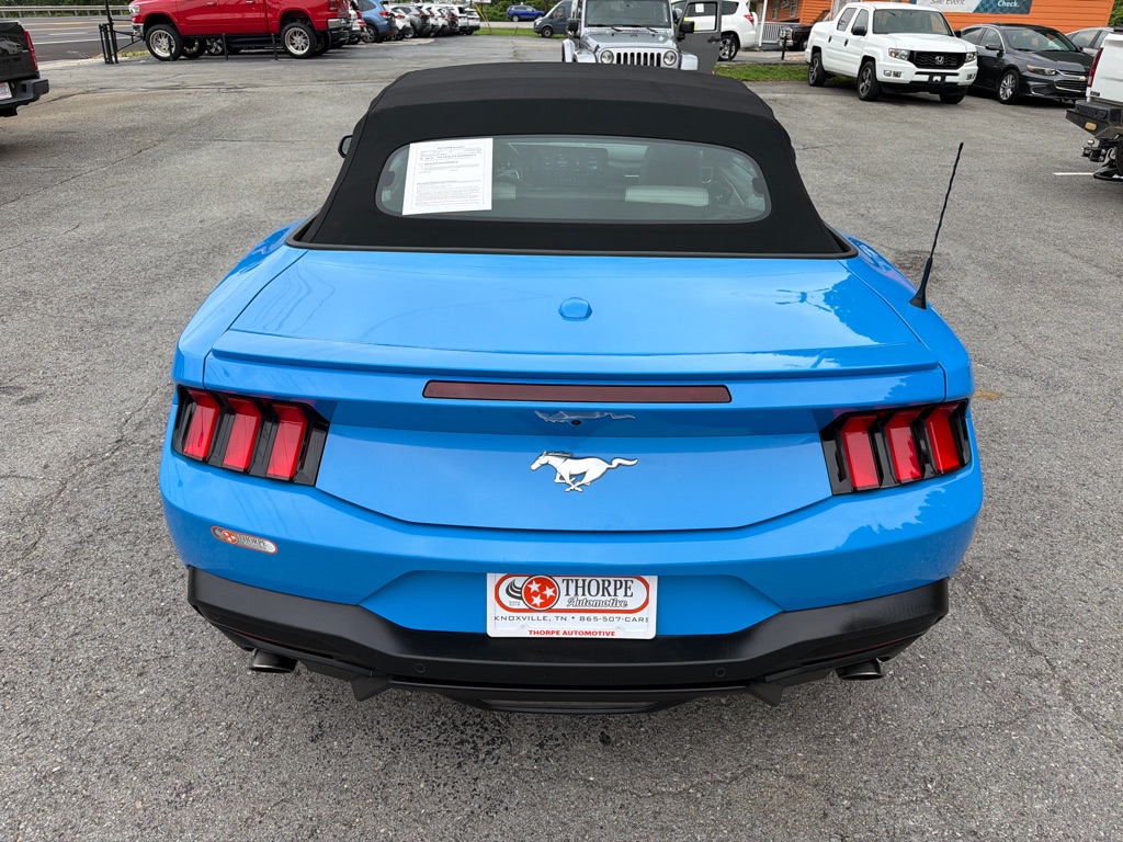 Photo 6 of this FORD MUSTANG