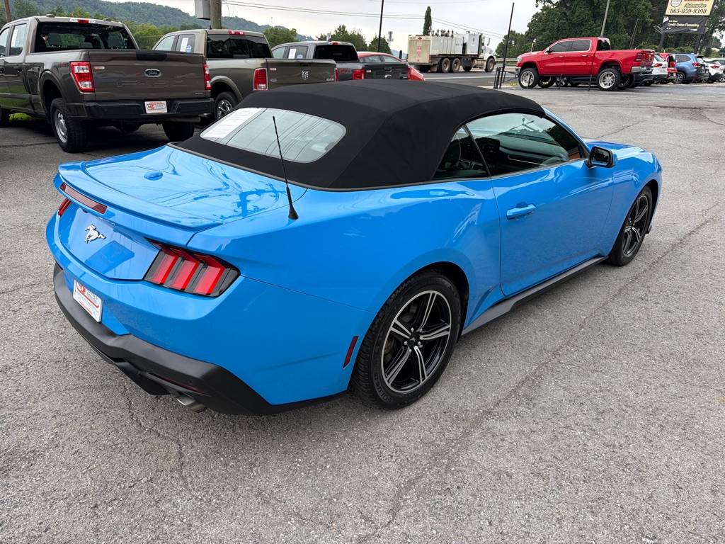 Photo 7 of this FORD MUSTANG