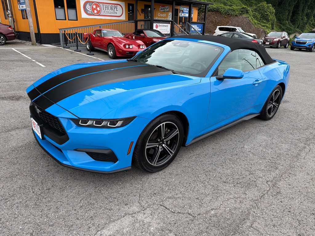 Photo 3 of this FORD MUSTANG