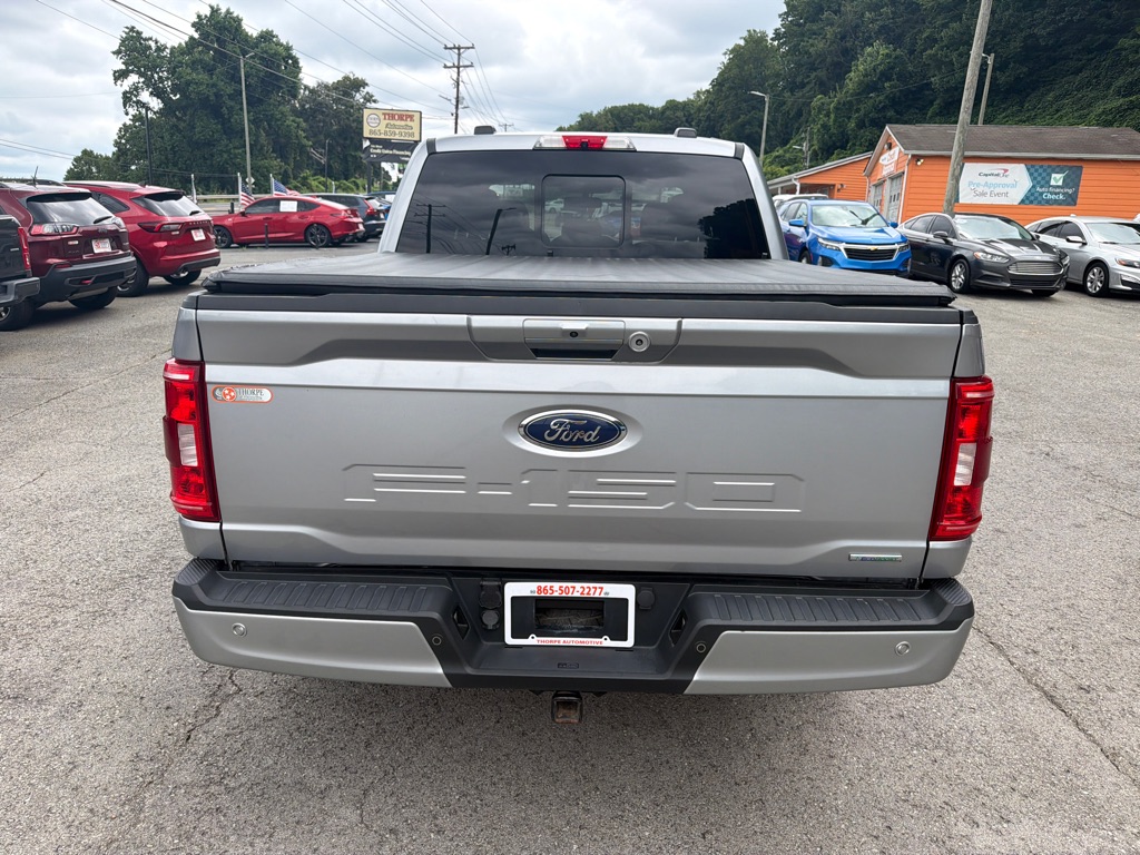 Photo 6 of this FORD F150